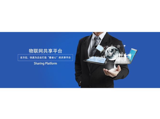 其它分类项目物联网电子与应用系统开发
